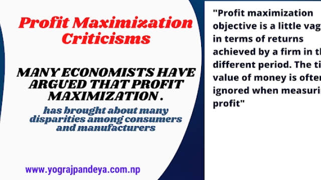 Profit Maximization Criticisms