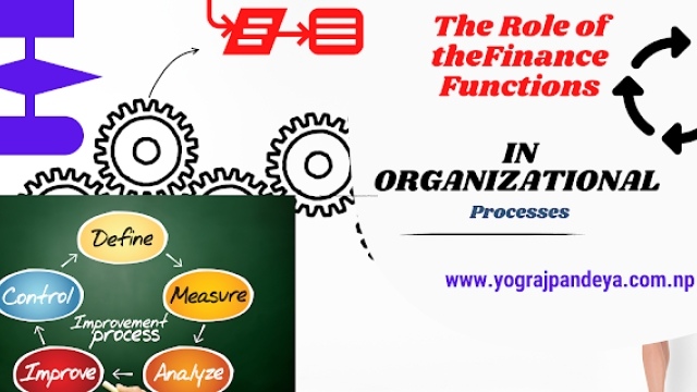 The Role of the Finance Function in Organizational Processes