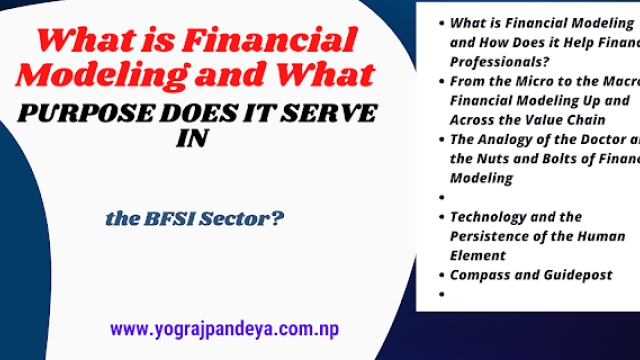 What is Financial Modeling and What Purpose does it serve in the BFSI Sector